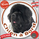 Terre Neuve noir et blanc, sticker autocollant rond "Chien à Bord" disque photo adhésif vitre voiture