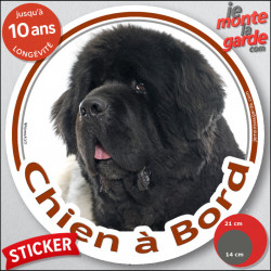 Terre Neuve noir et blanc, sticker autocollant rond "Chien à Bord" disque photo adhésif vitre voiture
