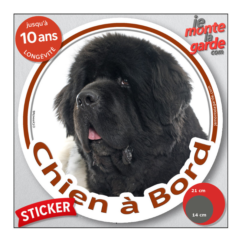 Sticker rond “Chien à Bord” avec Terre-Neuve massif au pelage noir, pour voiture