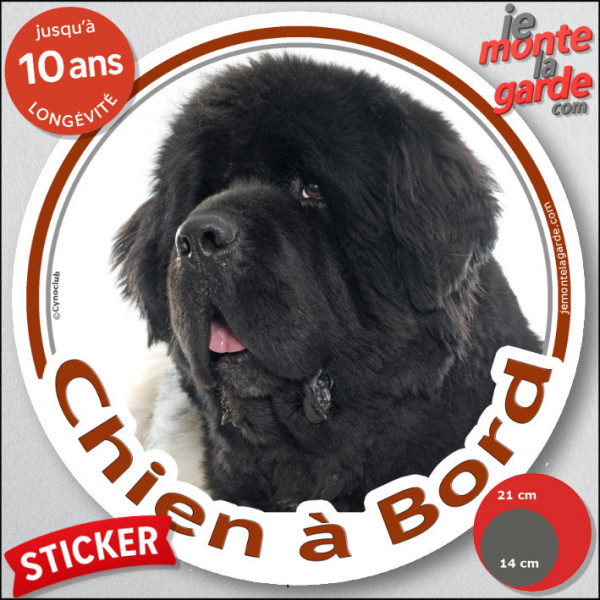 Terre Neuve noir et blanc, sticker autocollant rond "Chien à Bord" disque photo adhésif vitre voiture