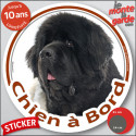 Terre Neuve, sticker voiture rond "Chien à Bord" 2 tailles D