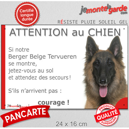 Berger Belge Tervueren, plaque portail humour "Attention au Chien, Jetez Vous au Sol, secours, courage" photo, résiste pluie sol