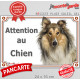 Colley fauve, plaque portail "Attention au Chien" pancarte panneau photo, Berger d'Ecosse marron Lassie