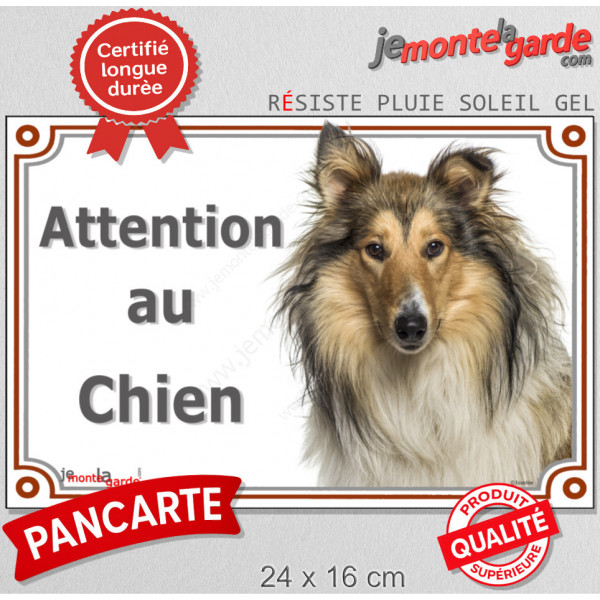 Colley fauve, plaque portail "Attention au Chien" pancarte panneau photo, Berger d'Ecosse marron Lassie