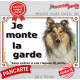 Colley Fauve tête, plaque portail "Je Monte la Garde, risques et périls" pancarte panneau photo attention au chien