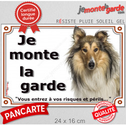 Colley Fauve tête, plaque portail "Je Monte la Garde, risques et périls" pancarte panneau photo attention au chien
