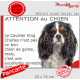 Plaque "Attention au Chien, notre Cavalier King Charles tricolore est une excellente sonnette" pancarte photo panneau humour