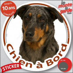 Beauceron Arlequin Tête, sticker rond "Chien à Bord" Disque autocollant Berger Beauce merle adhésif voiture auto photo