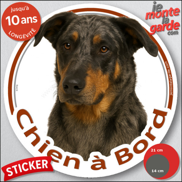 Beauceron Arlequin Tête, sticker rond "Chien à Bord" Disque autocollant Berger Beauce merle adhésif voiture auto photo