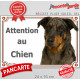 Berger de Beauce Arlequin Tête, plaque portail "Attention au Chien" pancarte panneau Beauceron merle Harlequin photo