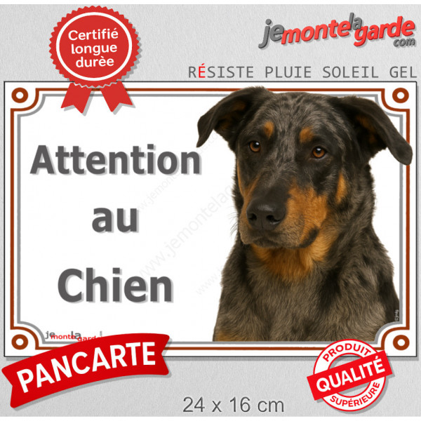 Berger de Beauce Arlequin Tête, plaque portail "Attention au Chien" pancarte panneau Beauceron merle Harlequin photo