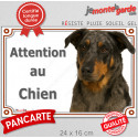 Beauceron arlequin, plaque portail extérieure "Attention au Chien" 24 cm LUX