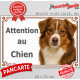 Berger Américain Miniature tricolore rouge, plaque portail "Attention au Chien" pancarte photo panneau aussie TOY australien