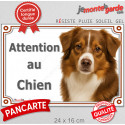 Berger Americain Miniature, plaque portail "Attention au Chien" 24 cm LUX