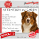 Berger Américain Miniature tricolore rouge, plaque portail humour "Attention au Chien, Jetez Vous au Sol attendez secours" photo