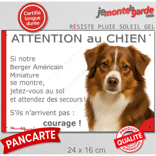 Berger Américain Miniature tricolore rouge, plaque portail humour "Attention au Chien, Jetez Vous au Sol attendez secours" photo