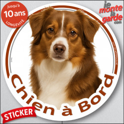 Berger Américain Miniature Tricolore rouge, sticker autocollant rond "Chien à Bord" disque photo adhésif voiture Aussie TOY