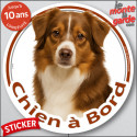 Berger Américain Miniature tricolore rouge, sticker voiture rond "Chien à Bord" 14 cm