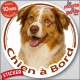 Berger Australien Rouge Merle yeux ambre Tête, sticker autocollant rond "Chien à Bord" Aussie vitre voiture auto disque photo