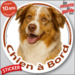 Berger Australien Rouge Merle yeux ambre Tête, sticker autocollant rond "Chien à Bord" Aussie vitre voiture auto disque photo