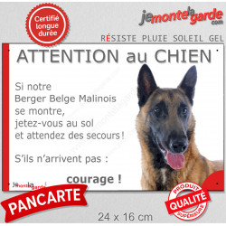Berger Belge Malinois Tête, Panneau humour "Attention au Chien, jetez-vous au sol, attendez du secours !" photo drôle plaque 