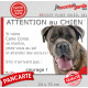 Cane Corso bringé, Panneau portail humour "Attention au Chien, se montre, jetez-vous au sol et attendez secours" plaque photo