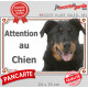 Berger de Beauce noir et feu tête, plaque portail extérieure "Attention au Chien" pancarte Beauceron photo
