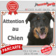 Berger de Beauce noir et feu tête, plaque portail extérieure "Attention au Chien" pancarte Beauceron photo