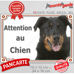 Berger de Beauce noir et feu tête, plaque portail extérieure "Attention au Chien" pancarte Beauceron photo