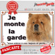 Chow-Chow fauve orange Tête, plaque portail extérieure "Je Monte la Garde, risques et périls" pancarte photo attention au chien
