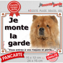 Chow-Chow fauve, plaque extérieure "Je Monte la Garde, risques périls" 2 tailles LUX D