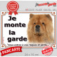 Chow-Chow fauve orange Tête, plaque portail extérieure "Je Monte la Garde, risques et périls" pancarte photo attention au chien