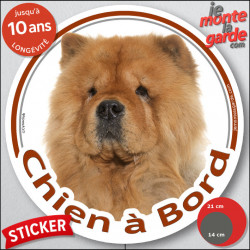 Chow-Chow fauve orange Tête , sticker autocollant rond "Chien à Bord" Disque adhésif vitre voiture photo