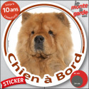 Chow-Chow fauve, sticker voiture rond "Chien à Bord" 2 tailles D