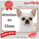 Chihuahua blanc à poils courts Tête, plaque portail extérieure "Attention au Chien" pancarte panneau beige photo