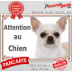 Chihuahua blanc à poils courts Tête, plaque portail extérieure "Attention au Chien" pancarte panneau beige photo