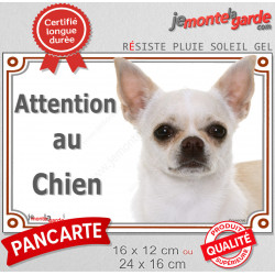 Chihuahua blanc à poils courts Tête, plaque portail extérieure "Attention au Chien" pancarte panneau beige photo
