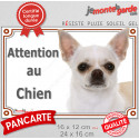 Chihuahua blanc poils ras, plaque extérieure "Attention au Chien" 2 tailles LUX D