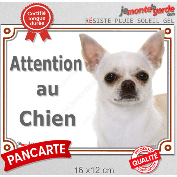 Chihuahua blanc à poils courts Tête, plaque portail extérieure "Attention au Chien" pancarte panneau beige photo