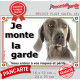 Braque de Weimar Tête, plaque portail "Je Monte la Garde, risques périls" panneau photo affiche pancarte, attention au chien