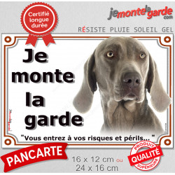 Braque de Weimar Tête, plaque portail "Je Monte la Garde, risques périls" panneau photo affiche pancarte, attention au chien