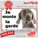 Braque de Weimar Tête, plaque portail "Je Monte la Garde, risques périls" panneau photo affiche pancarte, attention au chien