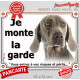 Braque de Weimar Tête, plaque portail "Je Monte la Garde, risques périls" panneau photo affiche pancarte, attention au chien