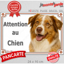 Berger Australien merle rouge, plaque portail photo "Attention au Chien" 24 cm LUX