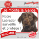 Labrador Chocolat tête, Panneau Portail rouge "Je Monte la Garde, surveille protège" affiche plaque pancarte marron brun photo