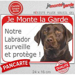 Labrador Chocolat tête, Panneau Portail rouge "Je Monte la Garde, surveille protège" affiche plaque pancarte marron brun photo
