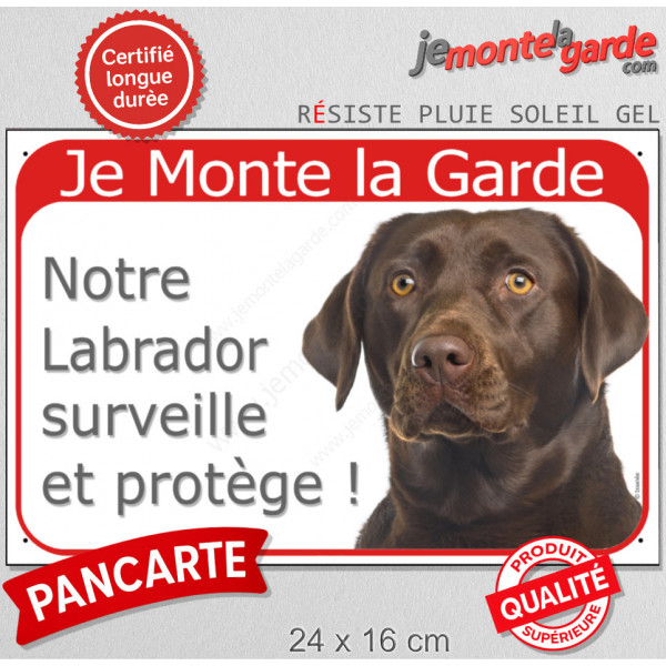 Labrador Chocolat tête, Panneau Portail rouge "Je Monte la Garde, surveille protège" affiche plaque pancarte marron brun photo