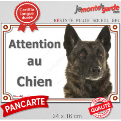 Berger Hollandais bringé à poils courts, plaque portail extérieure "Attention au Chien" pancarte panneau photo
