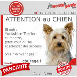 Yorkshire Terrier, Panneau humour "Attention au Chien, jetez-vous au sol, attendez des secours, courage !" photo York portail