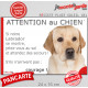 Labrador jaune sable, plaque extérieure humour "Attention au Chien, Jetez Vous au Sol, attendez secours courage" drôle photo